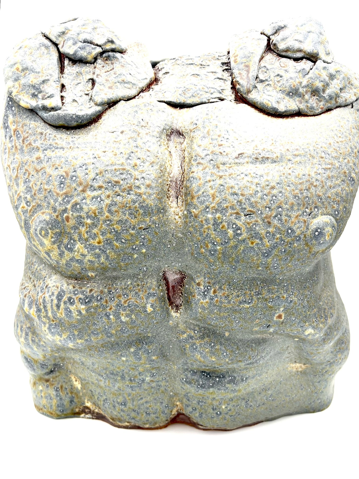 Armour of Atlantis