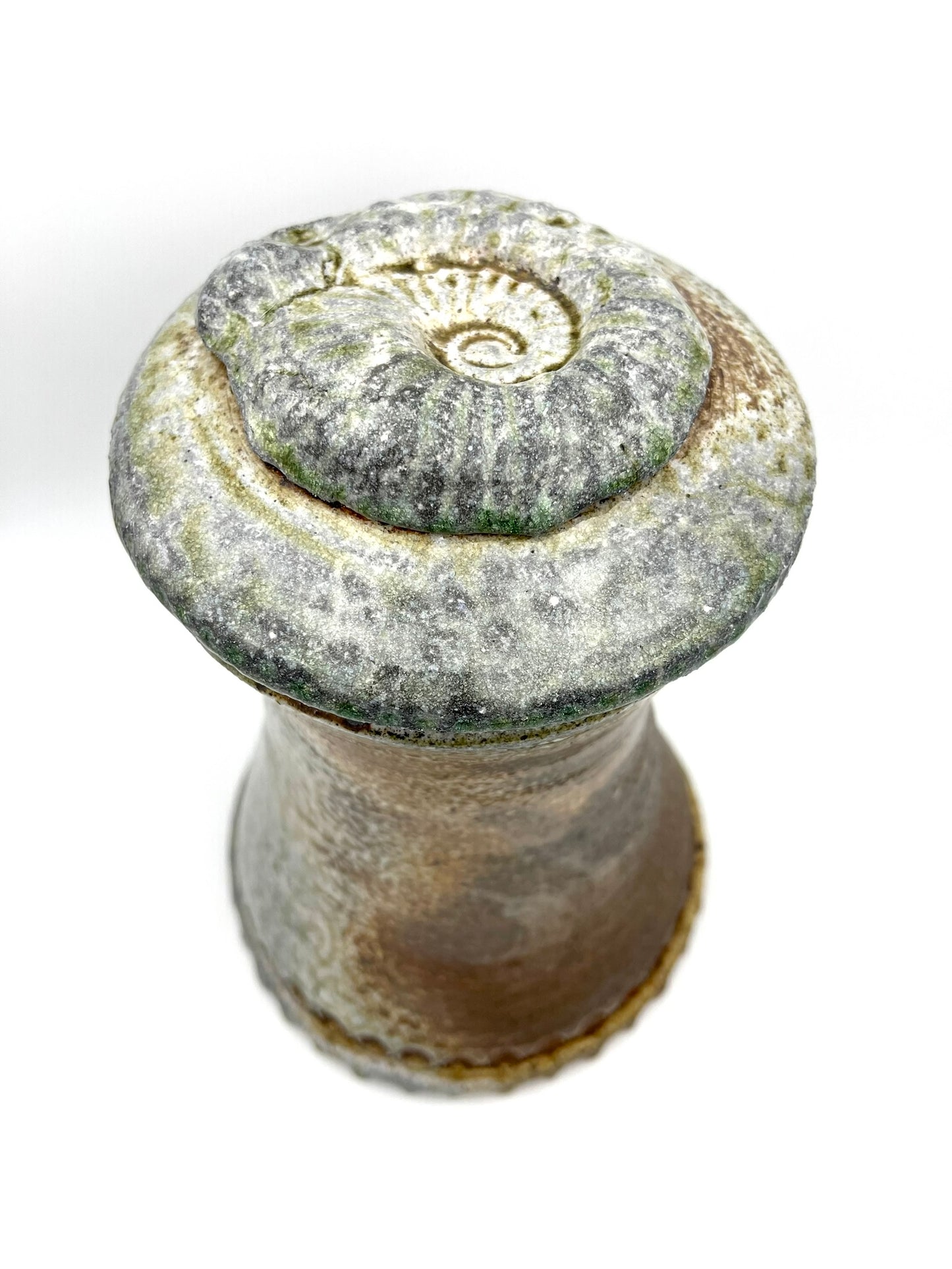 Ammonite Tower