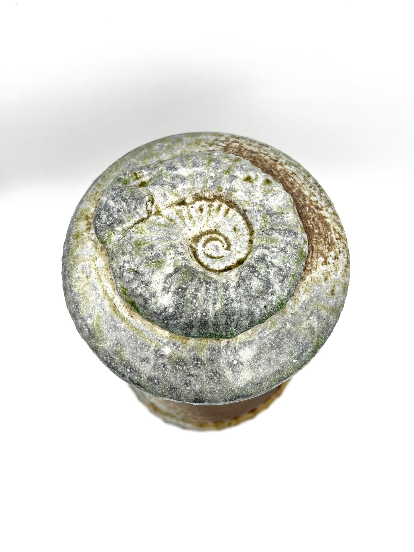 Ammonite Tower