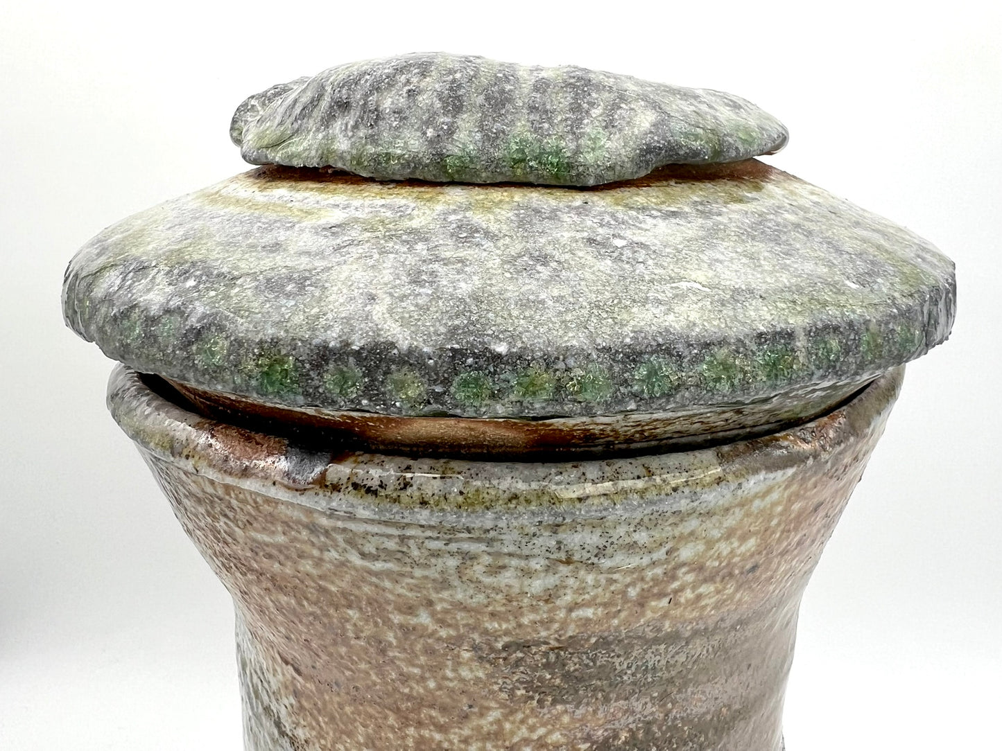 Ammonite Tower