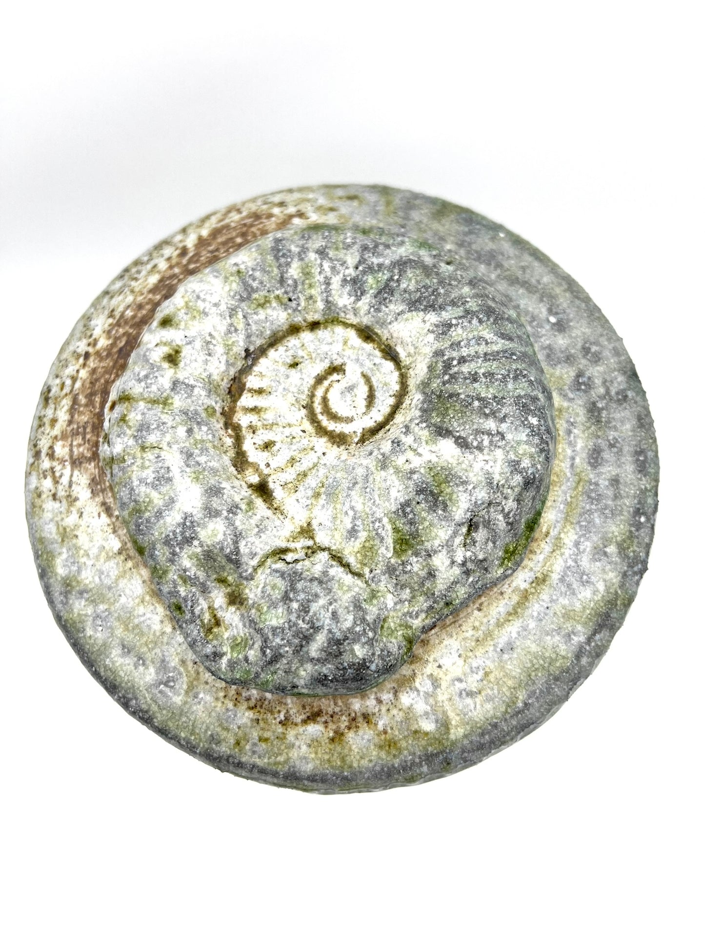 Ammonite Tower