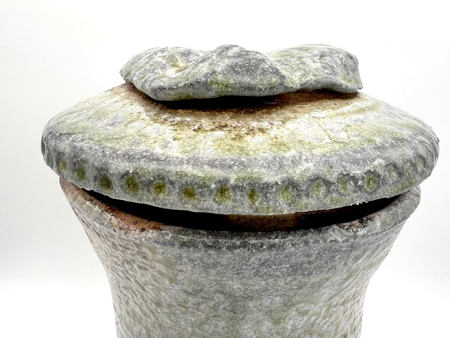 Ammonite Tower