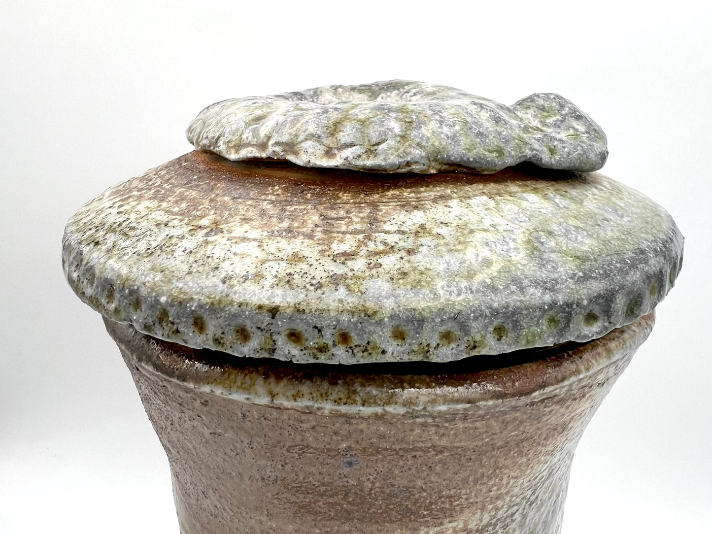 Ammonite Tower