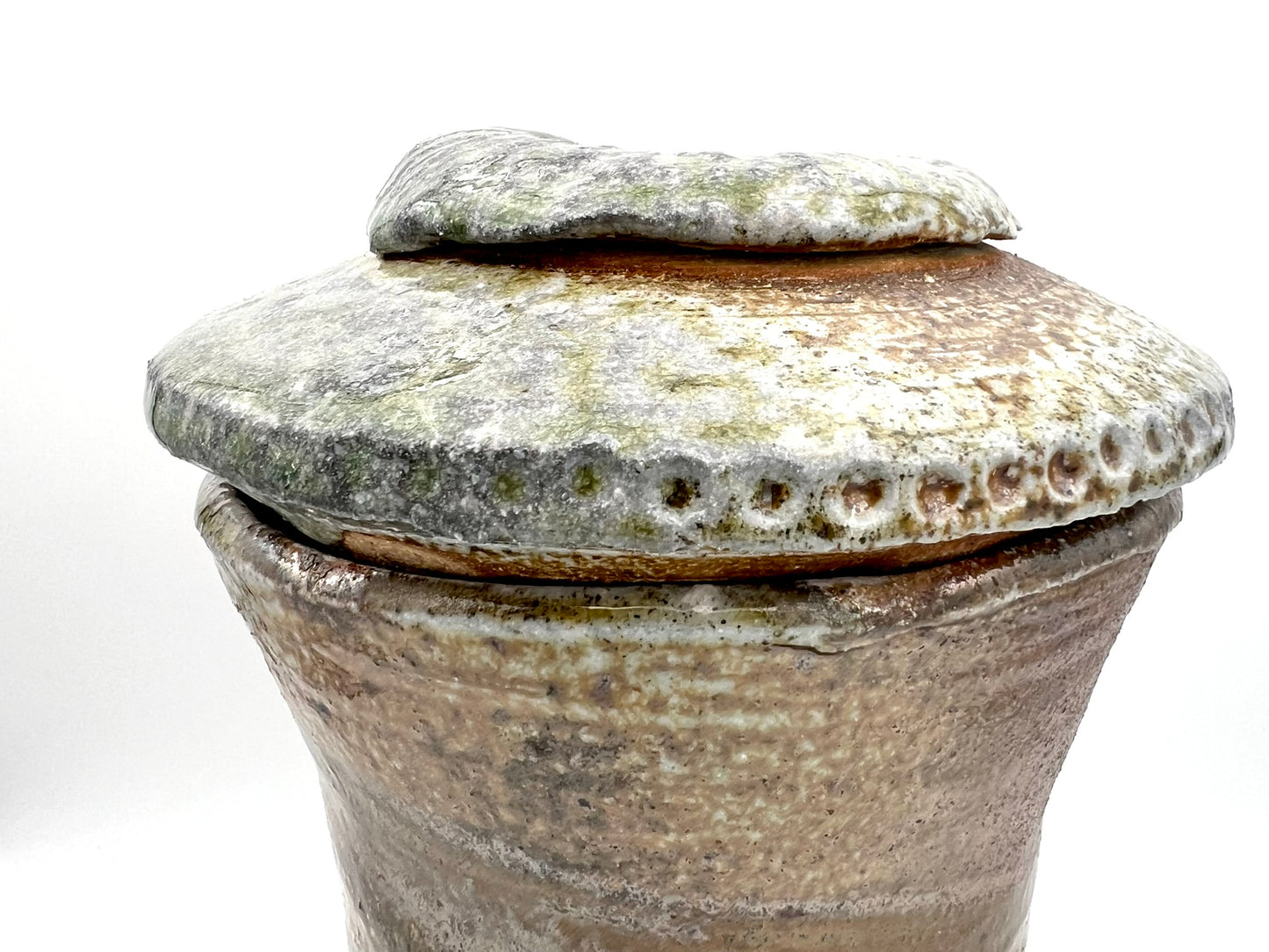 Ammonite Tower