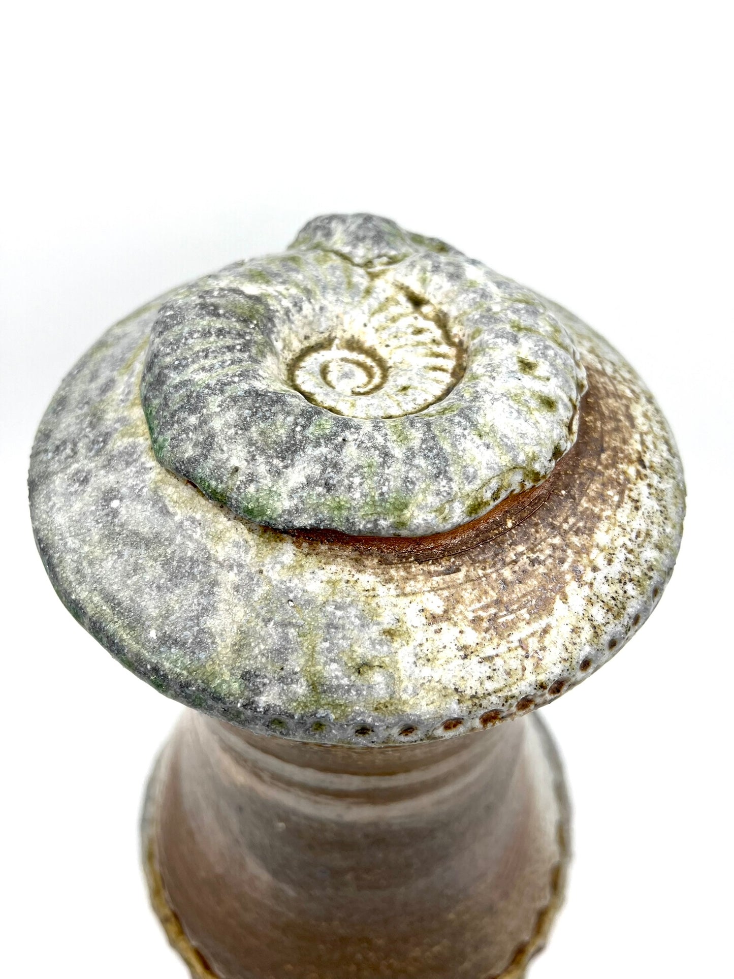 Ammonite Tower