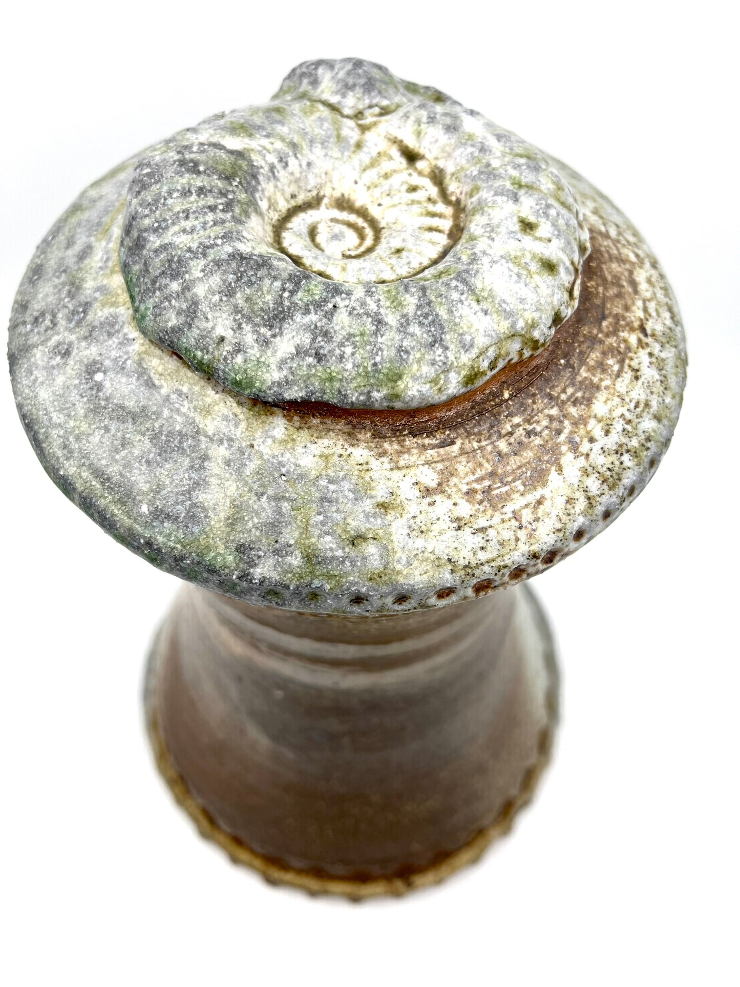 Ammonite Tower