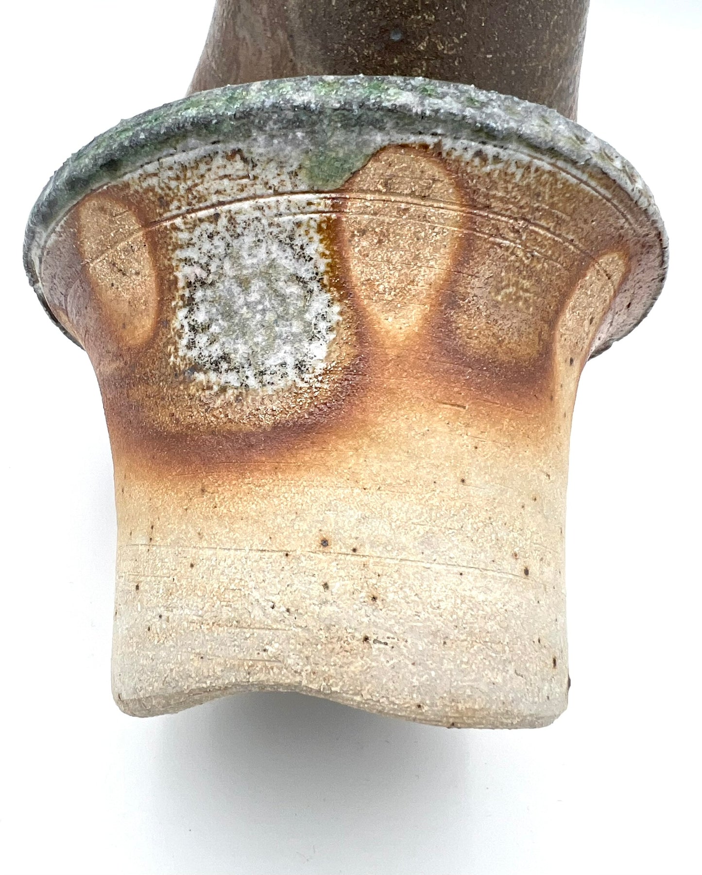 Ammonite Tower