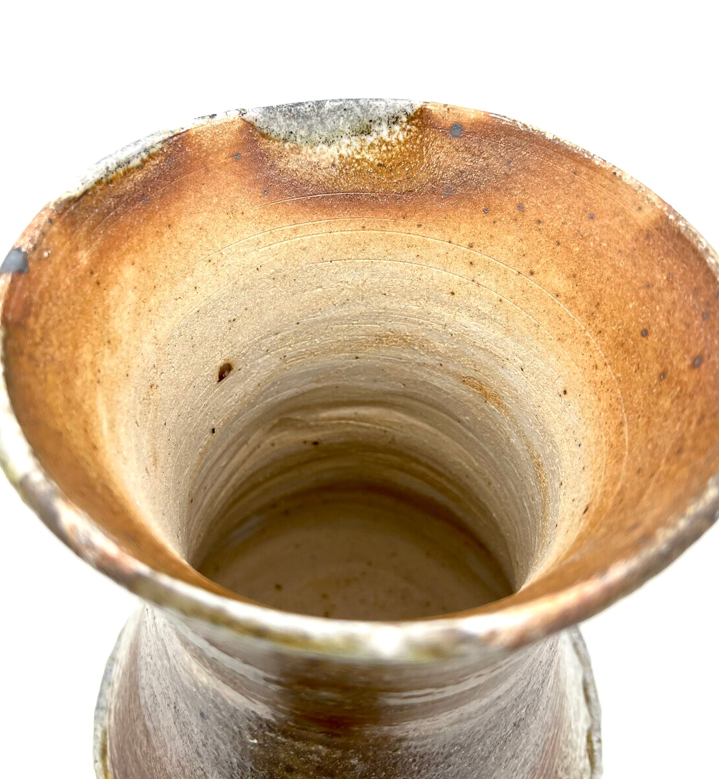 Ammonite Tower