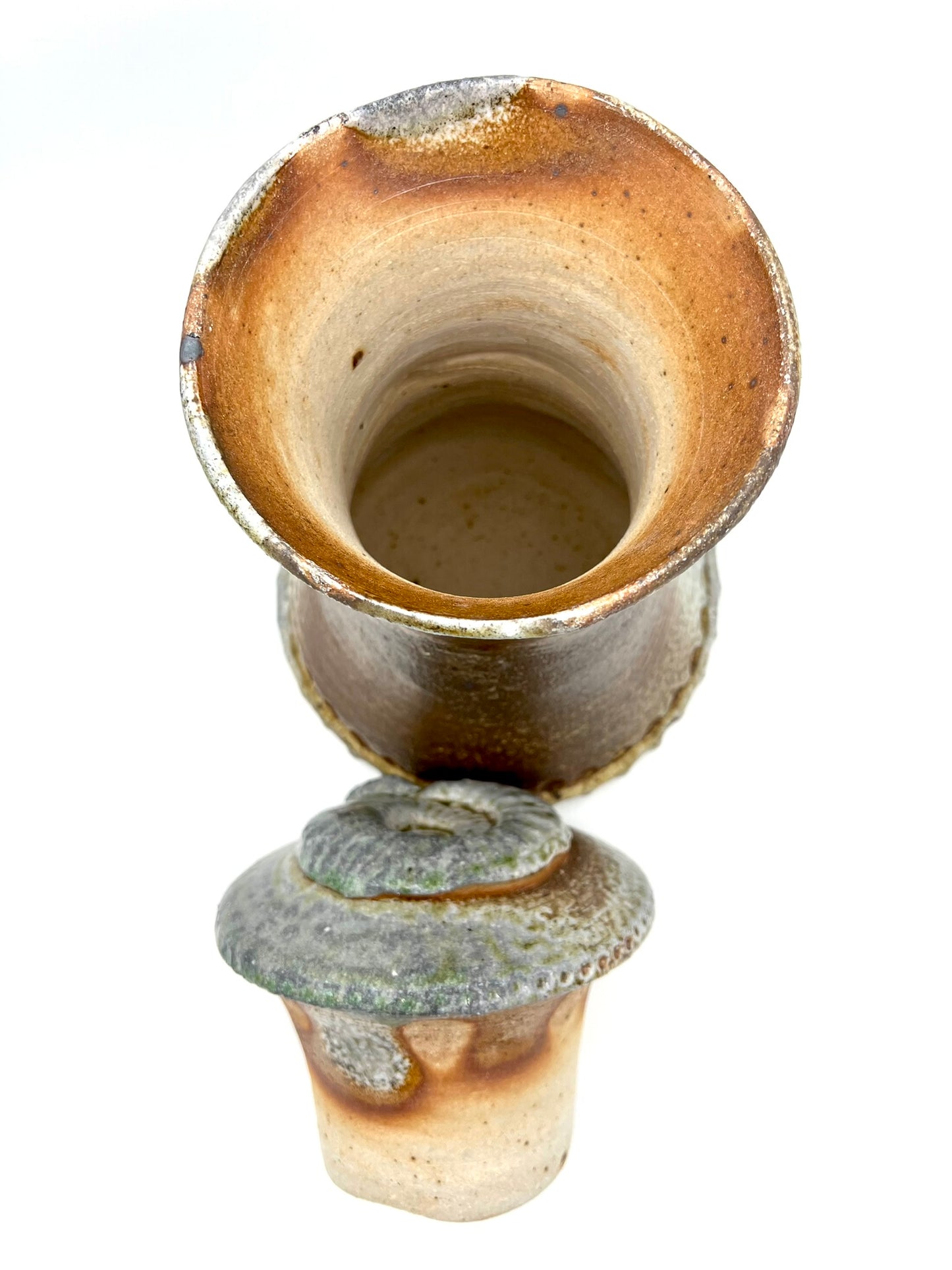 Ammonite Tower