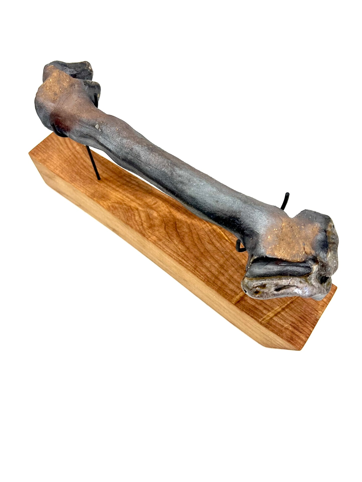 Mounted Bone 14