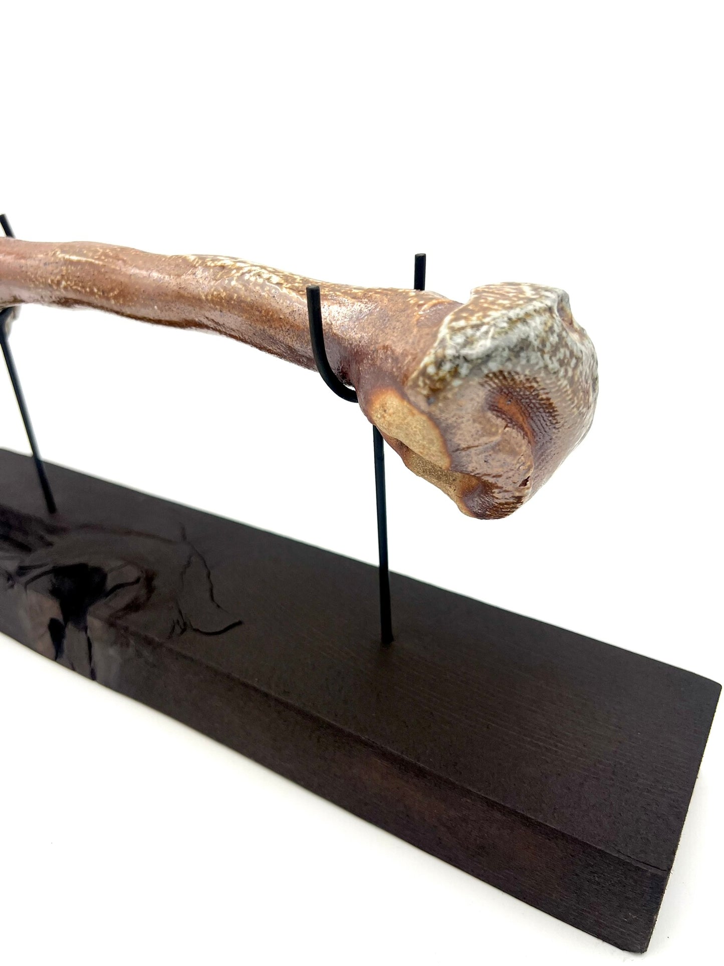 Mounted Bone 4