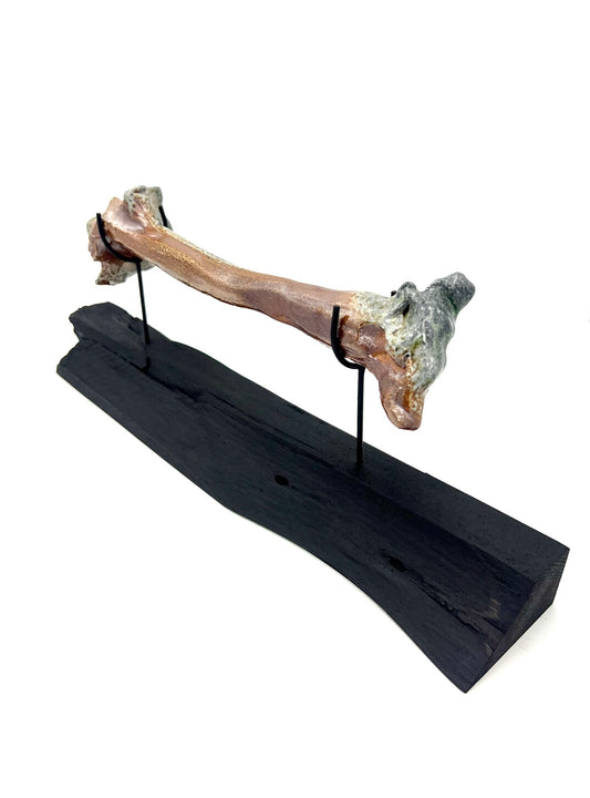Mounted Bone 8