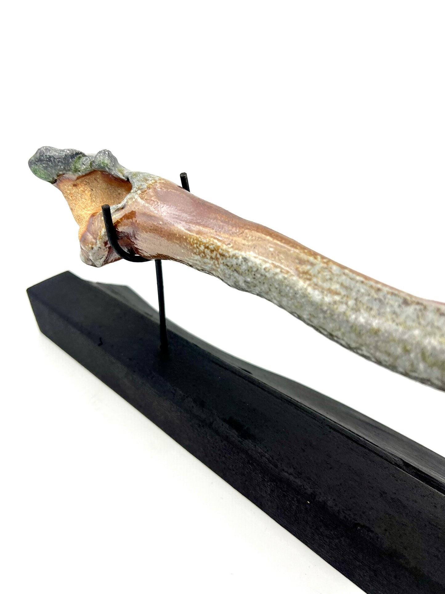Mounted Bone 9