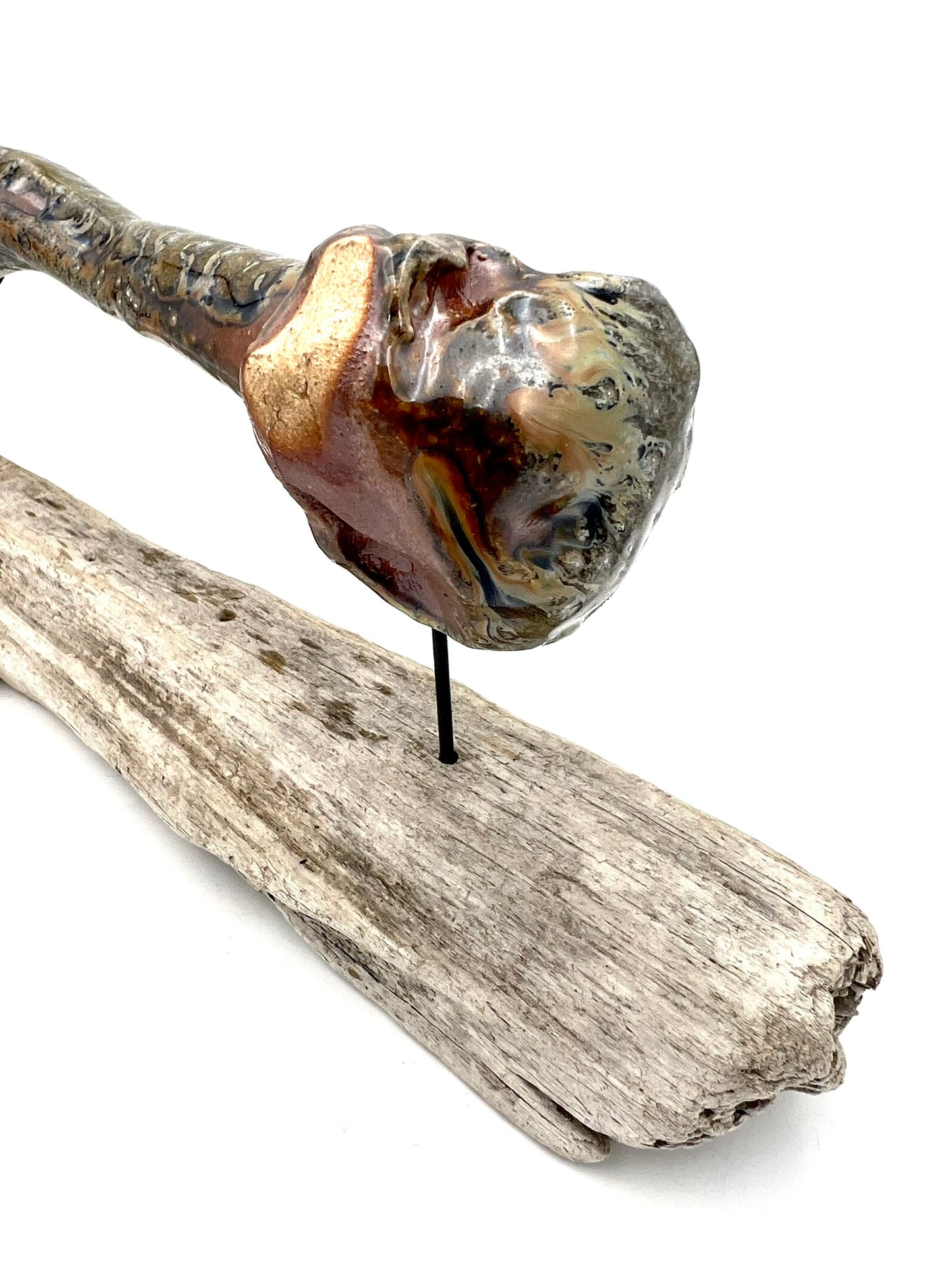 Mounted Bone 11