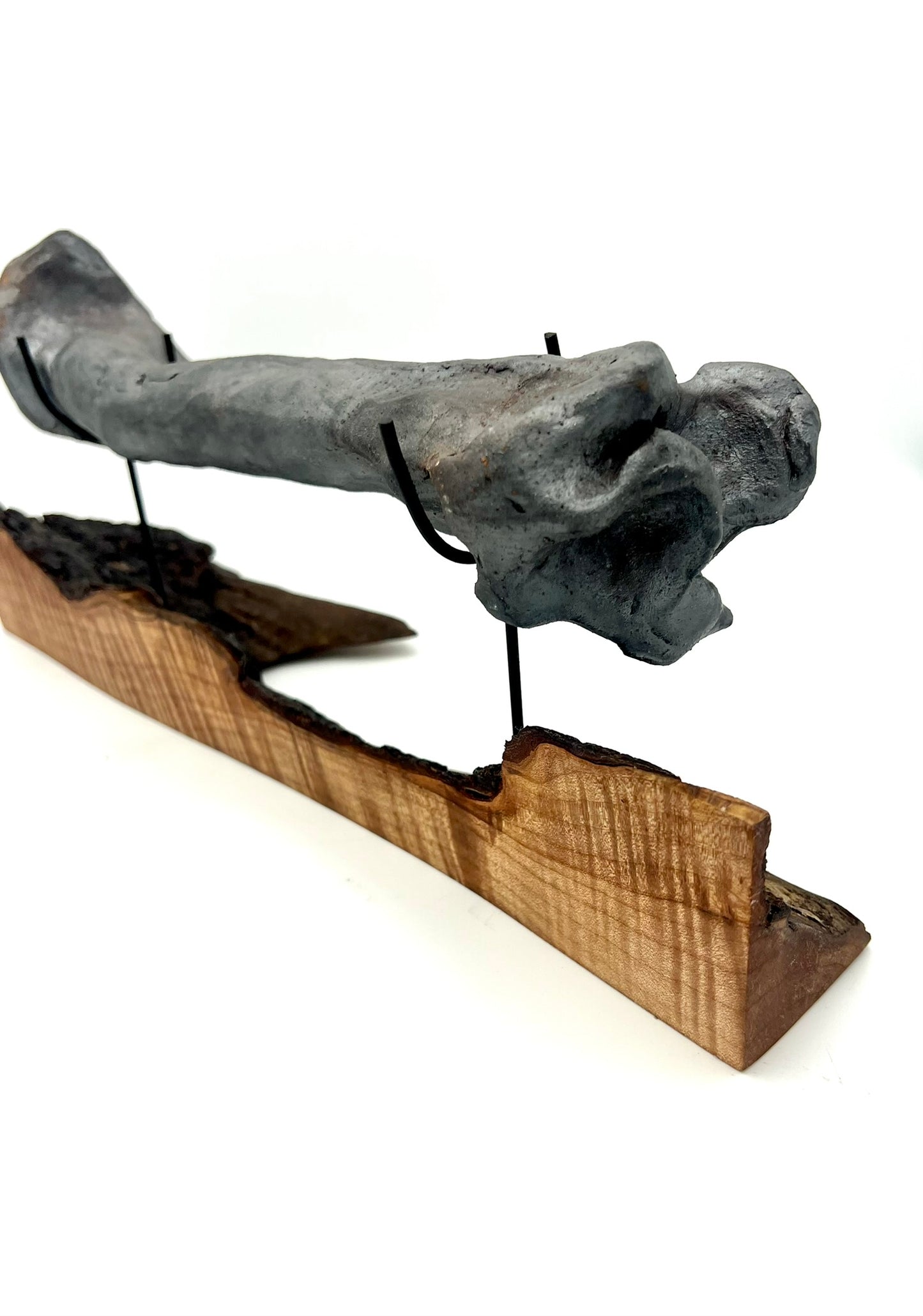 Mounted Bone 13