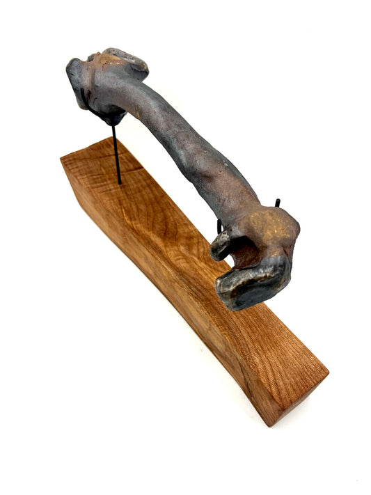 Mounted Bone 14