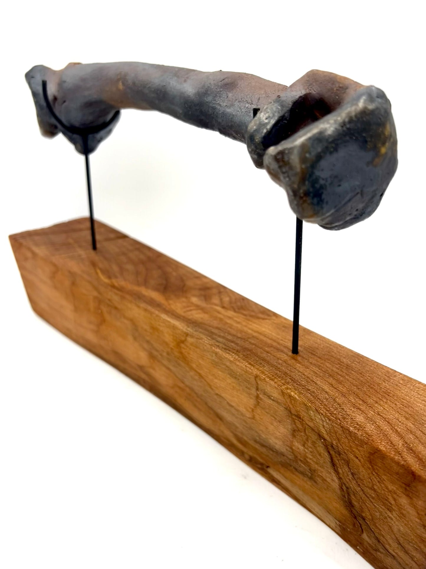 Mounted Bone 14