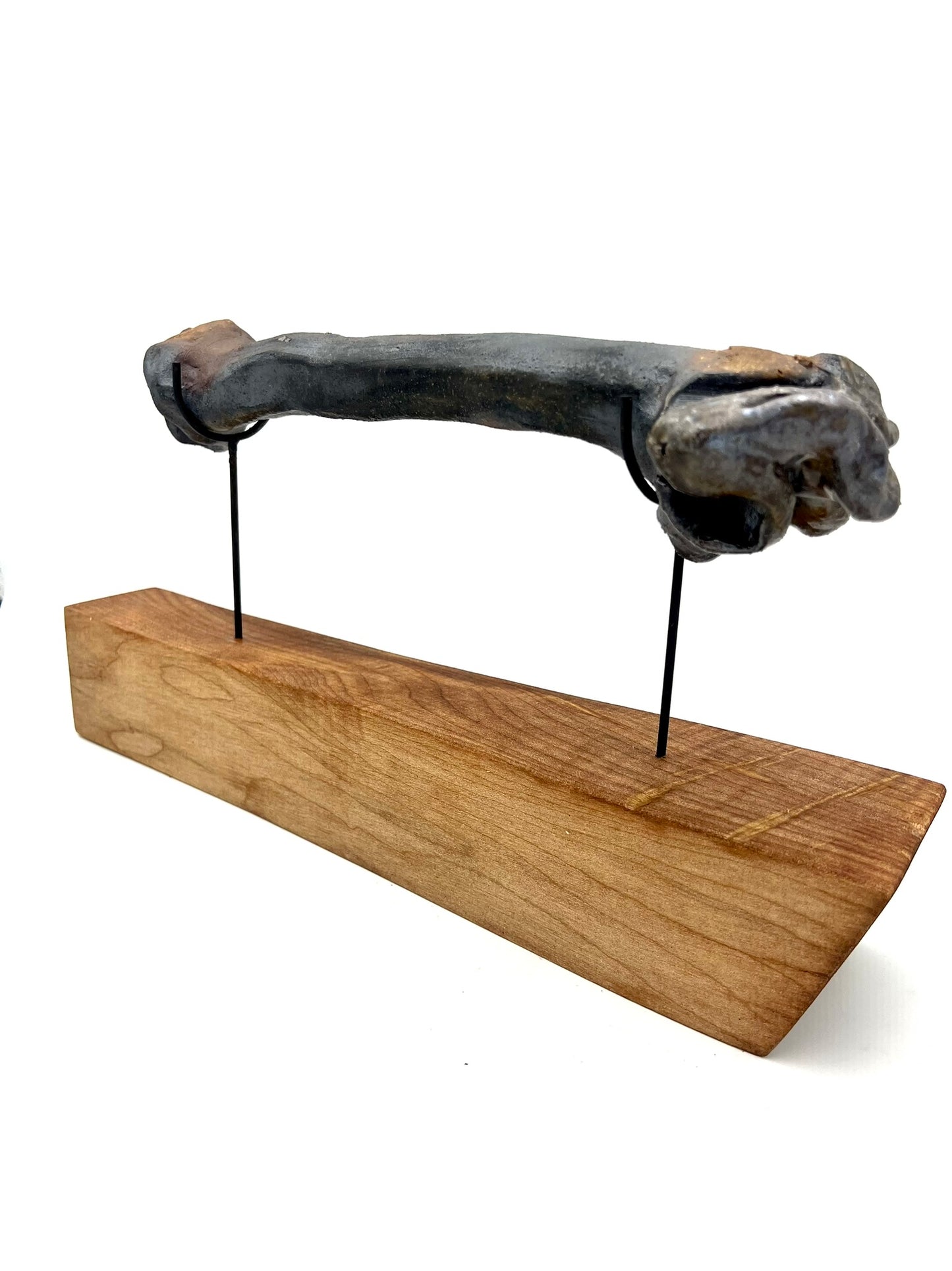 Mounted Bone 14