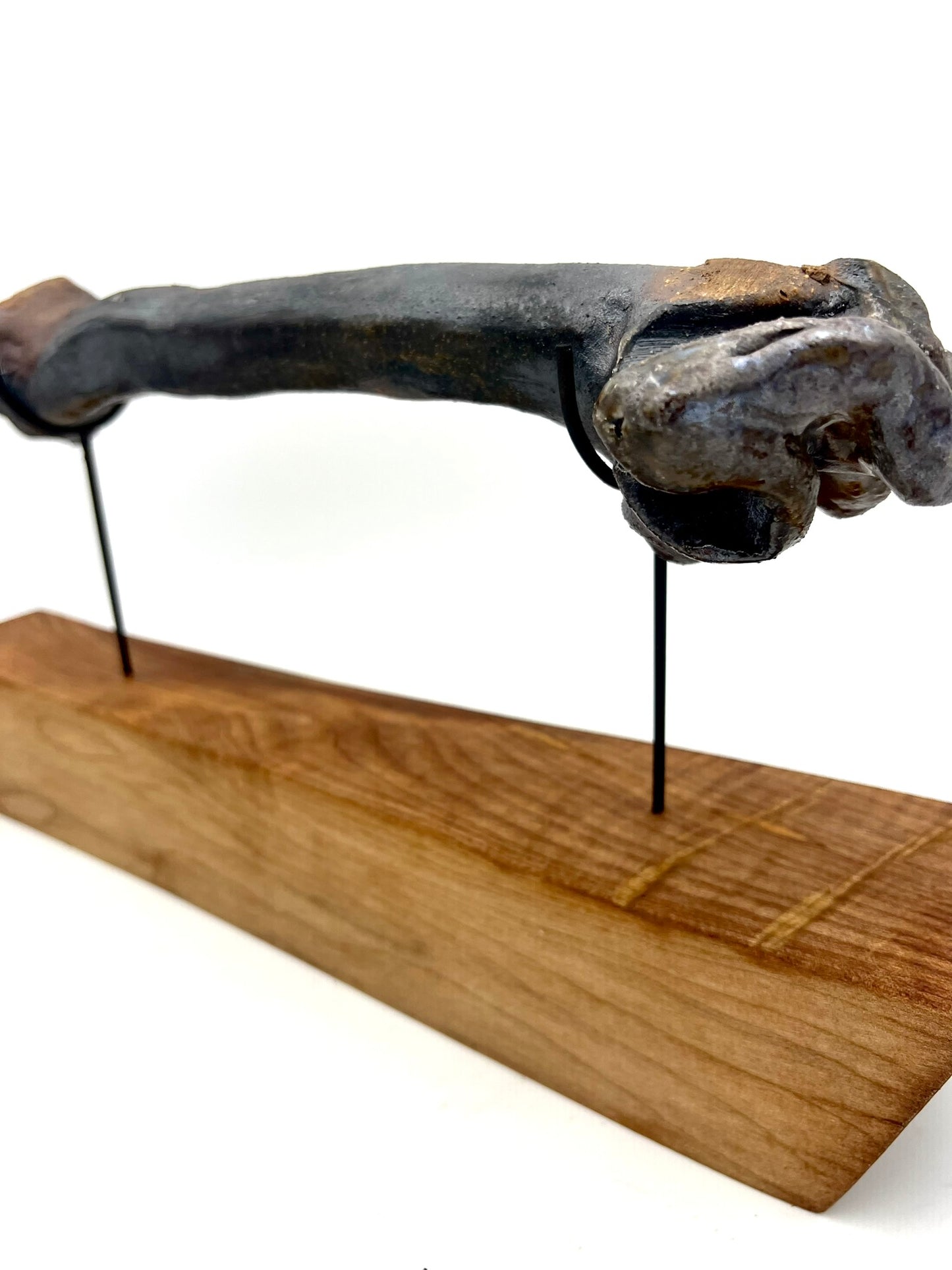 Mounted Bone 14