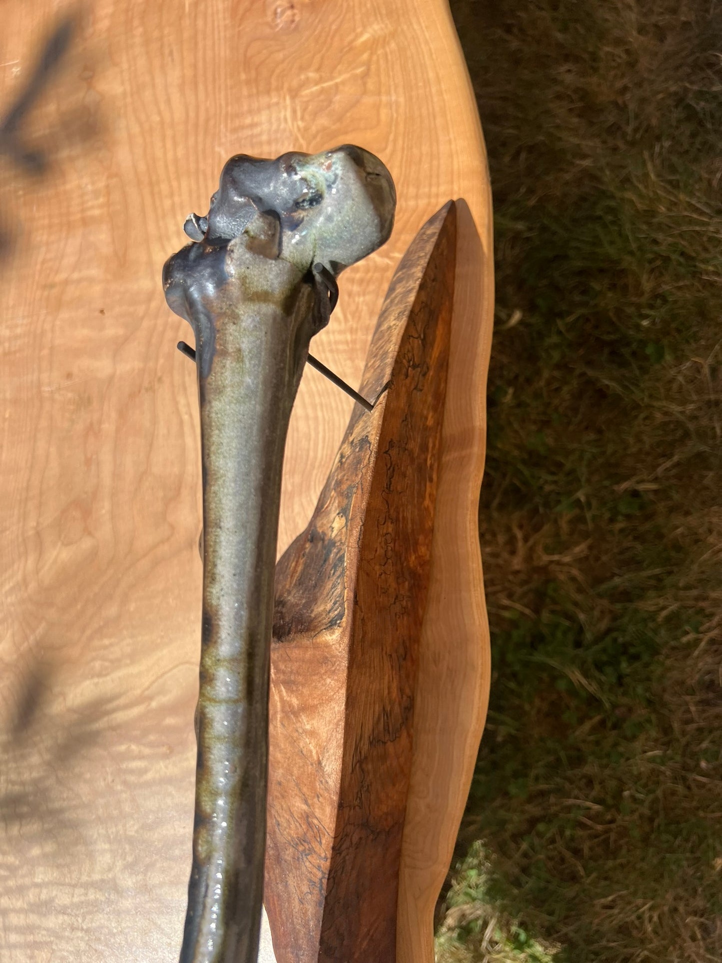 Mounted Bone 15