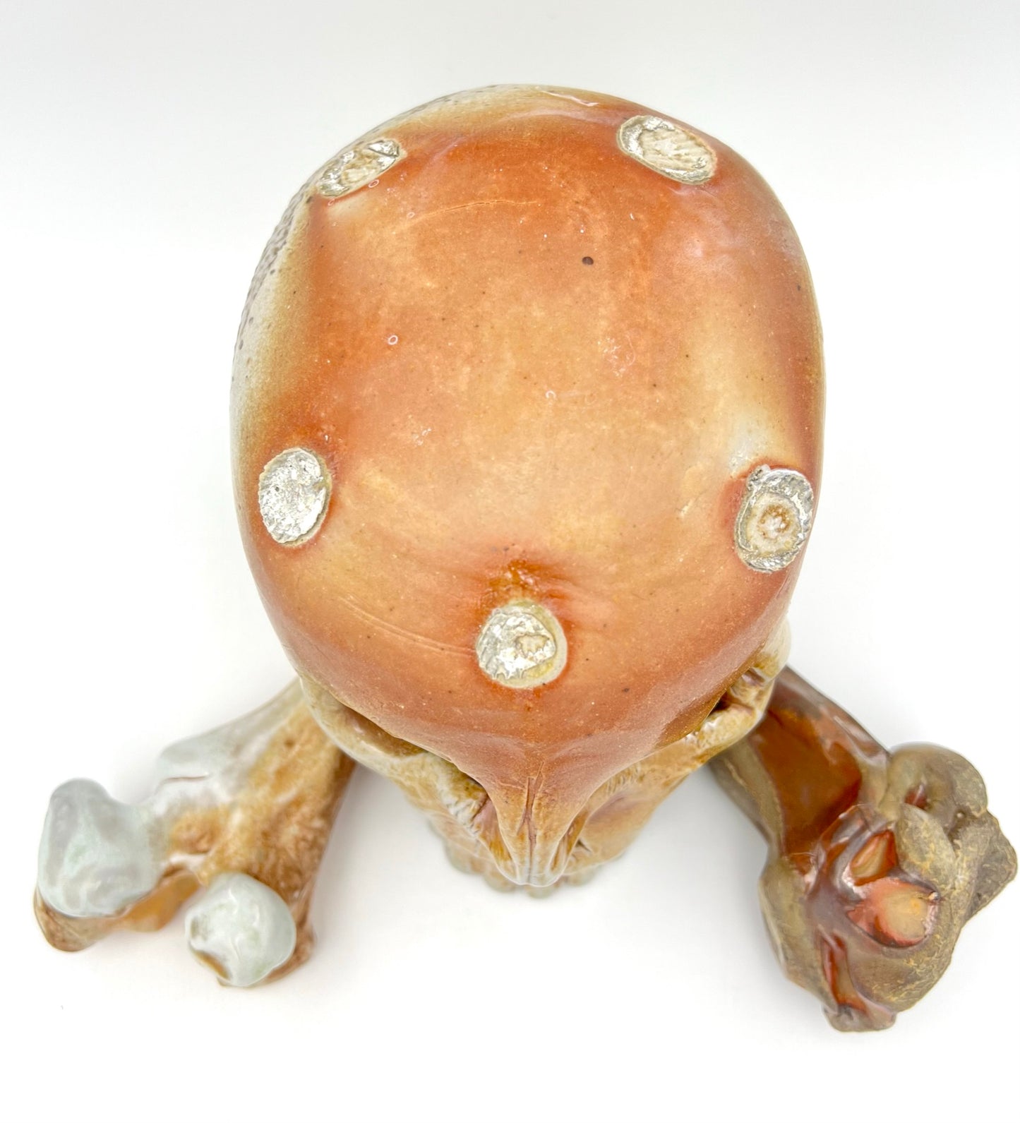 Skull & Two 1/2 Bones