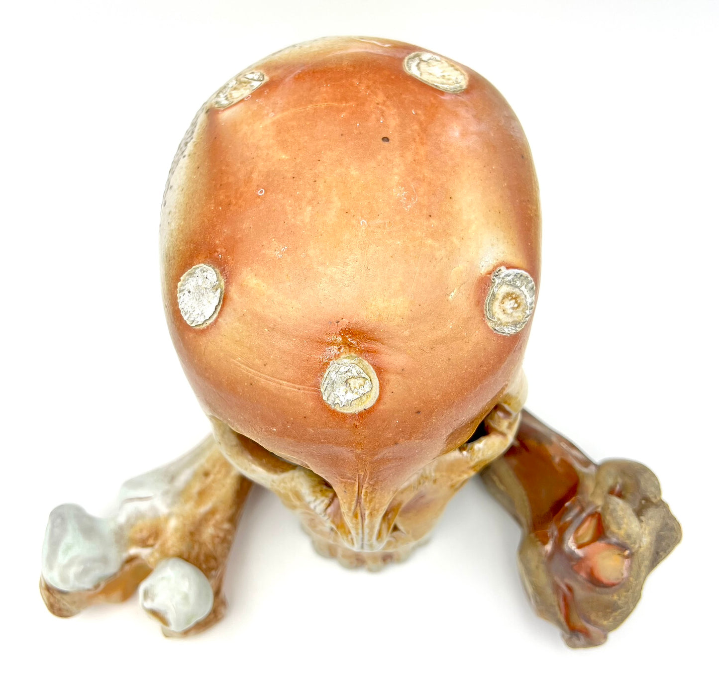 Skull & Two 1/2 Bones