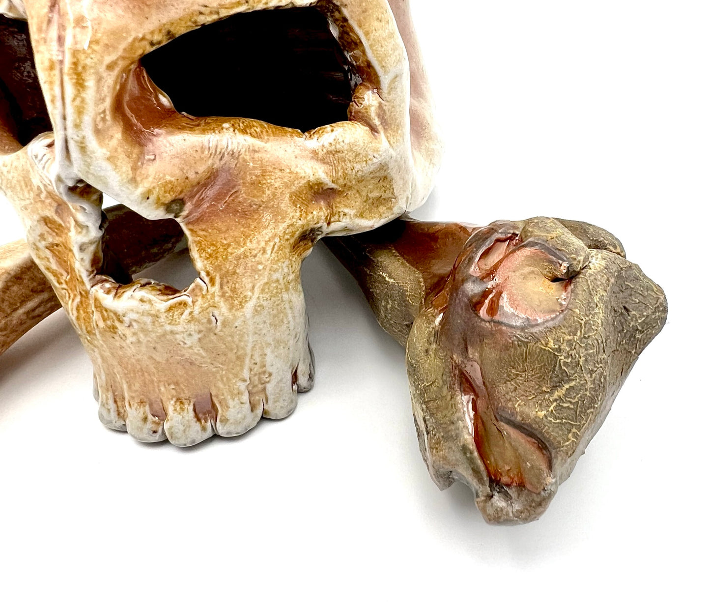 Skull & Two 1/2 Bones
