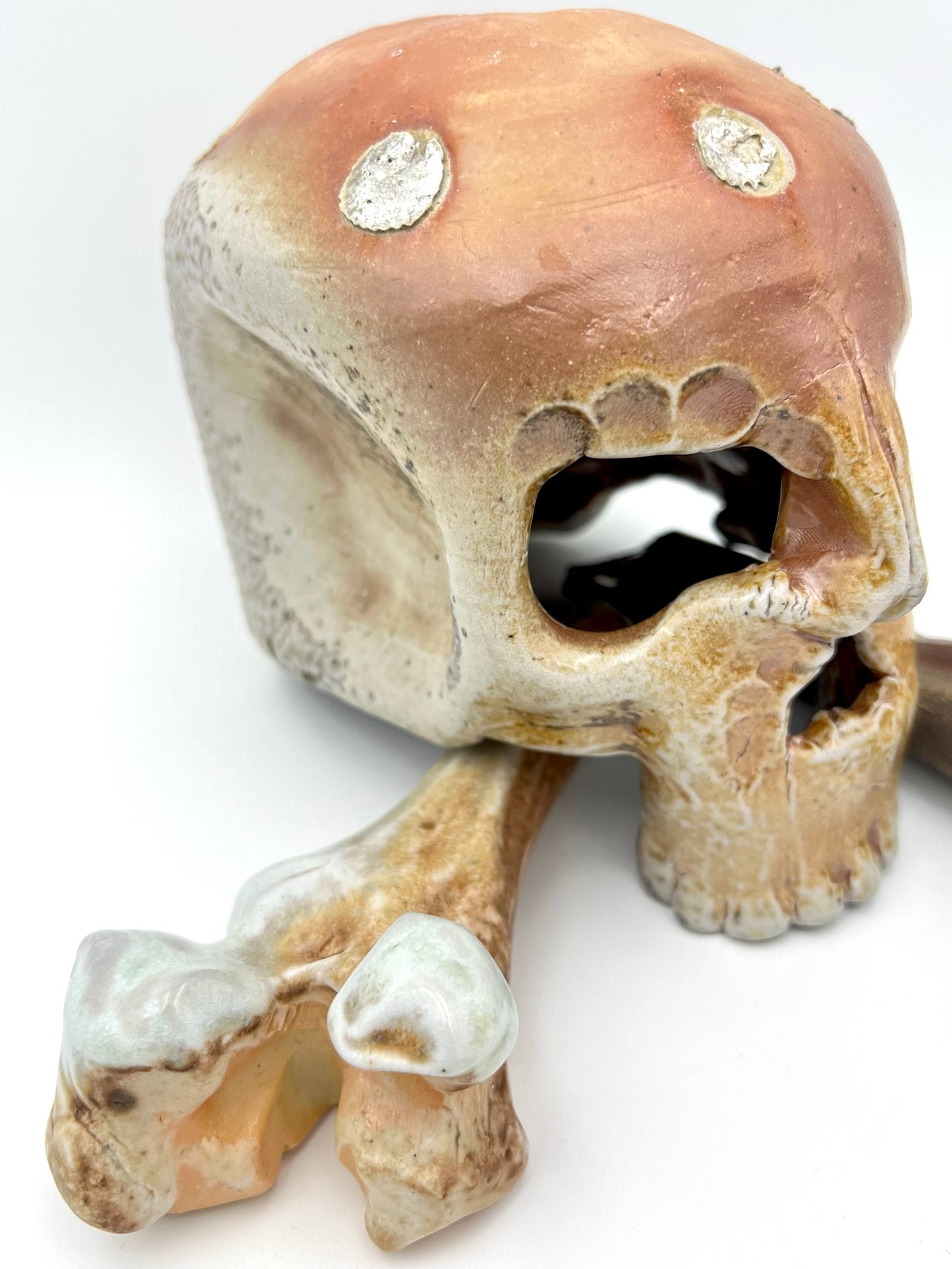 Skull & Two 1/2 Bones