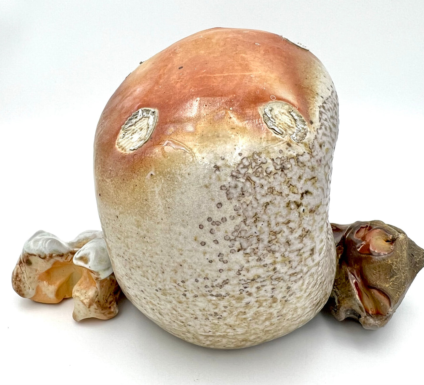 Skull & Two 1/2 Bones