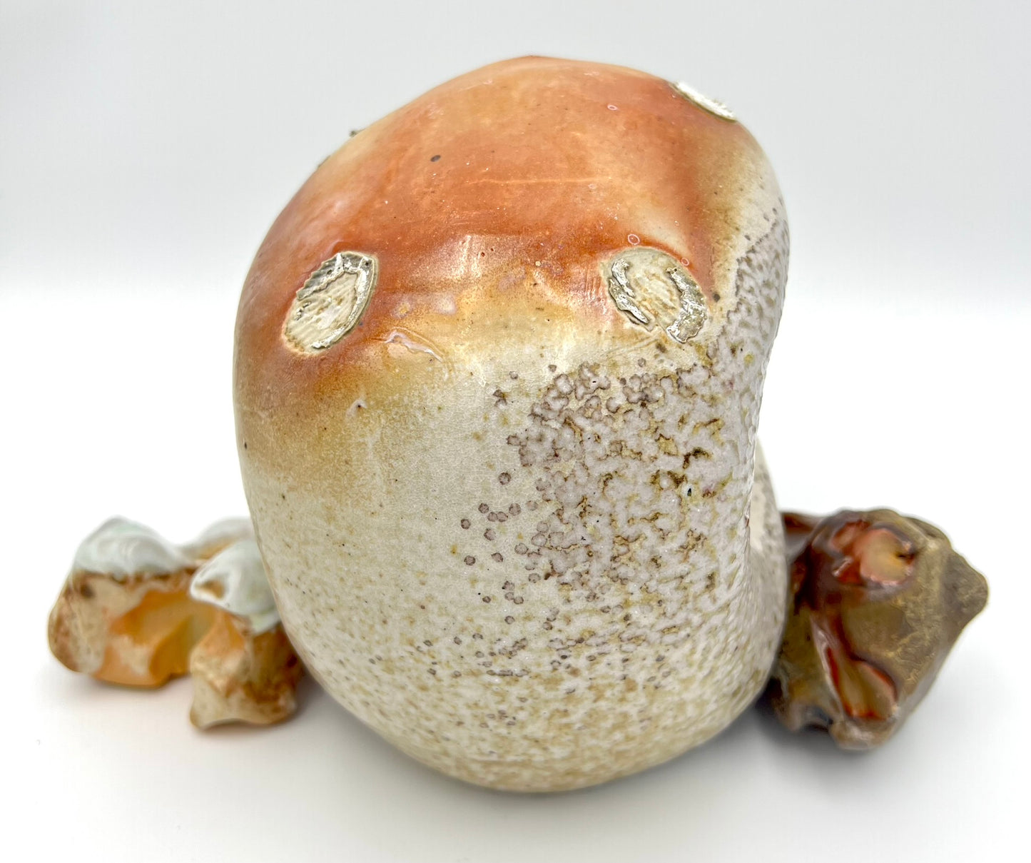 Skull & Two 1/2 Bones