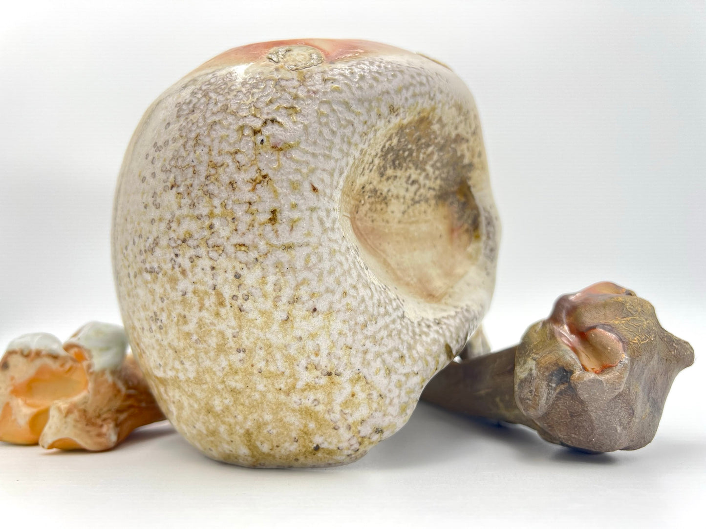 Skull & Two 1/2 Bones