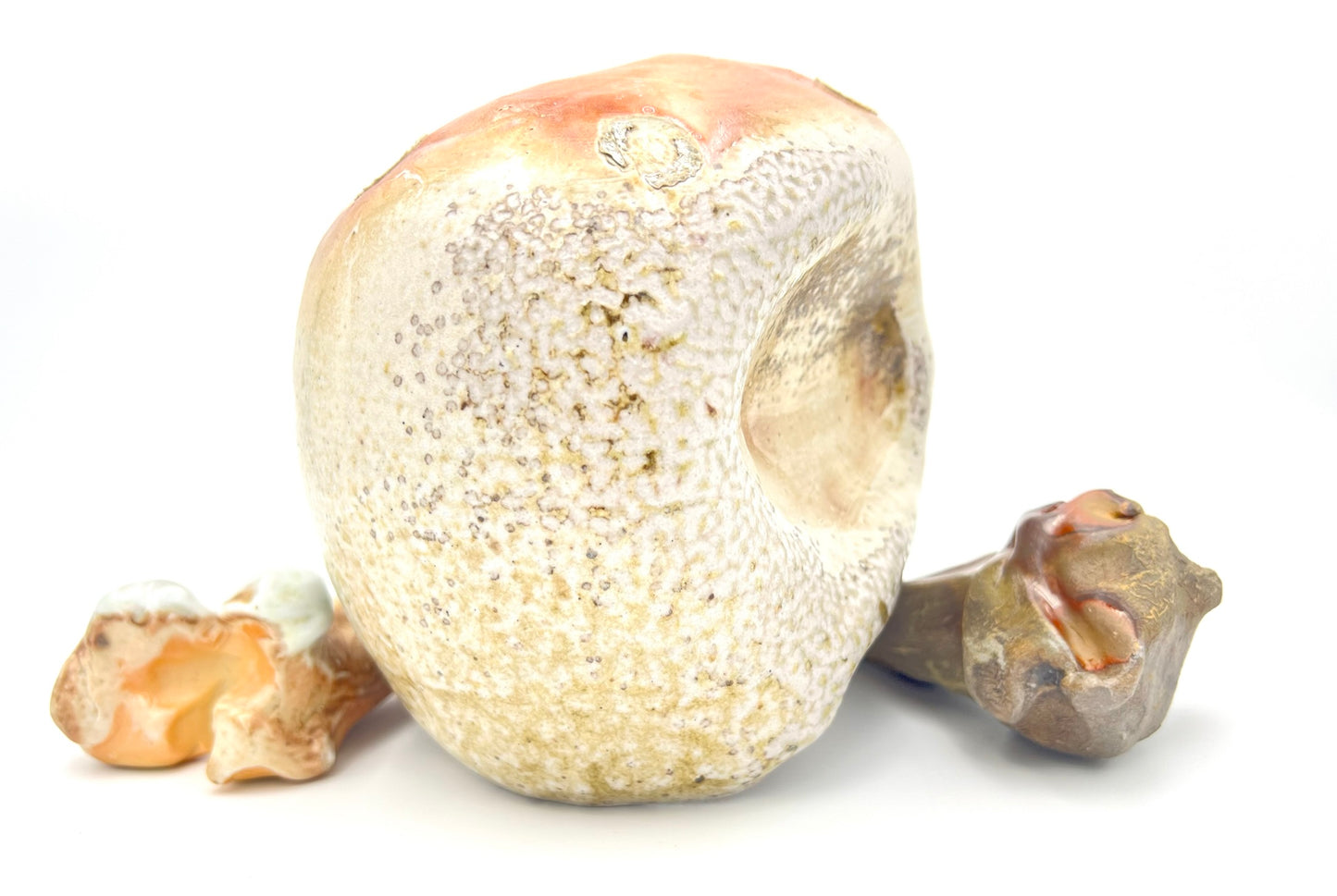 Skull & Two 1/2 Bones