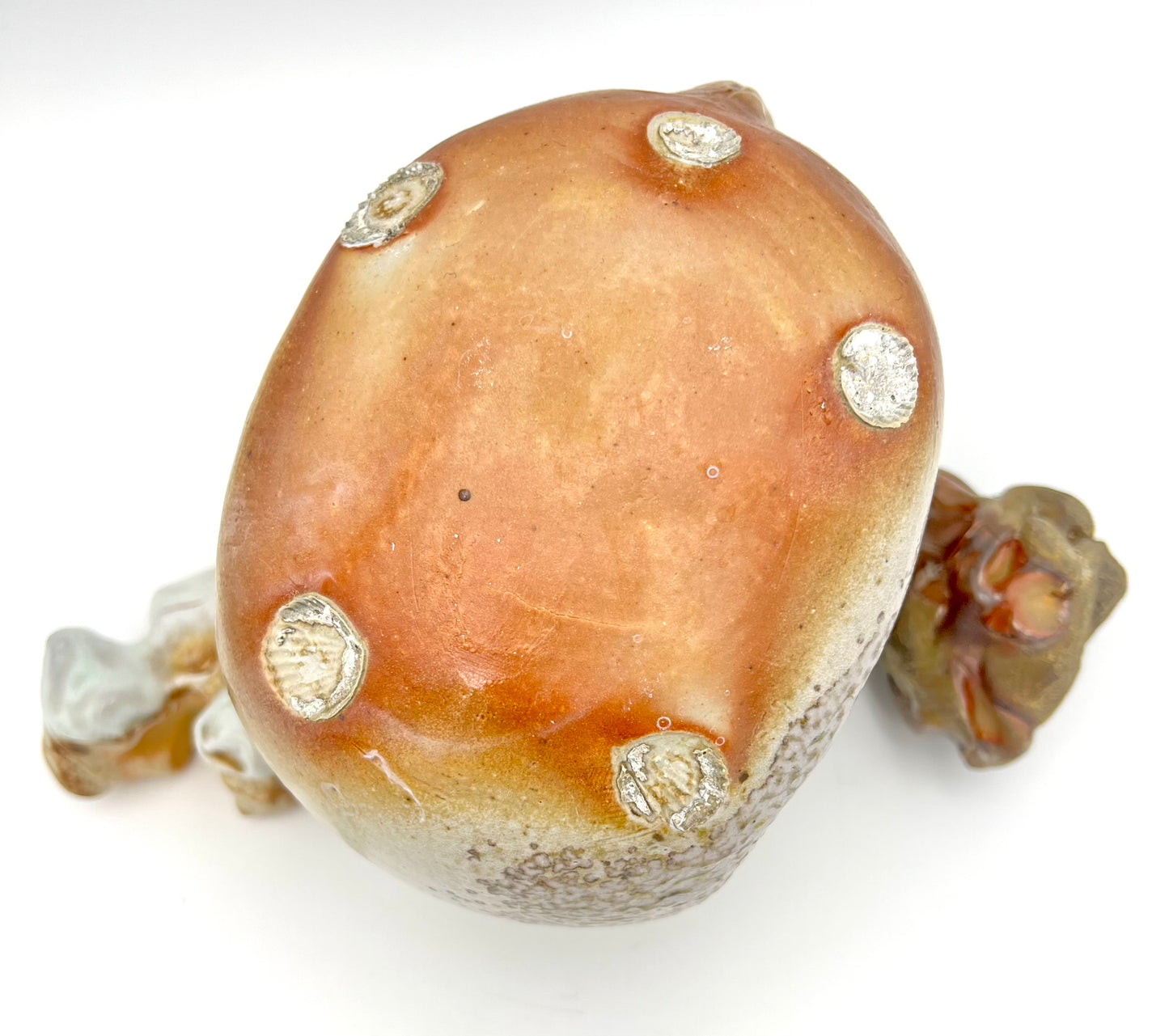 Skull & Two 1/2 Bones