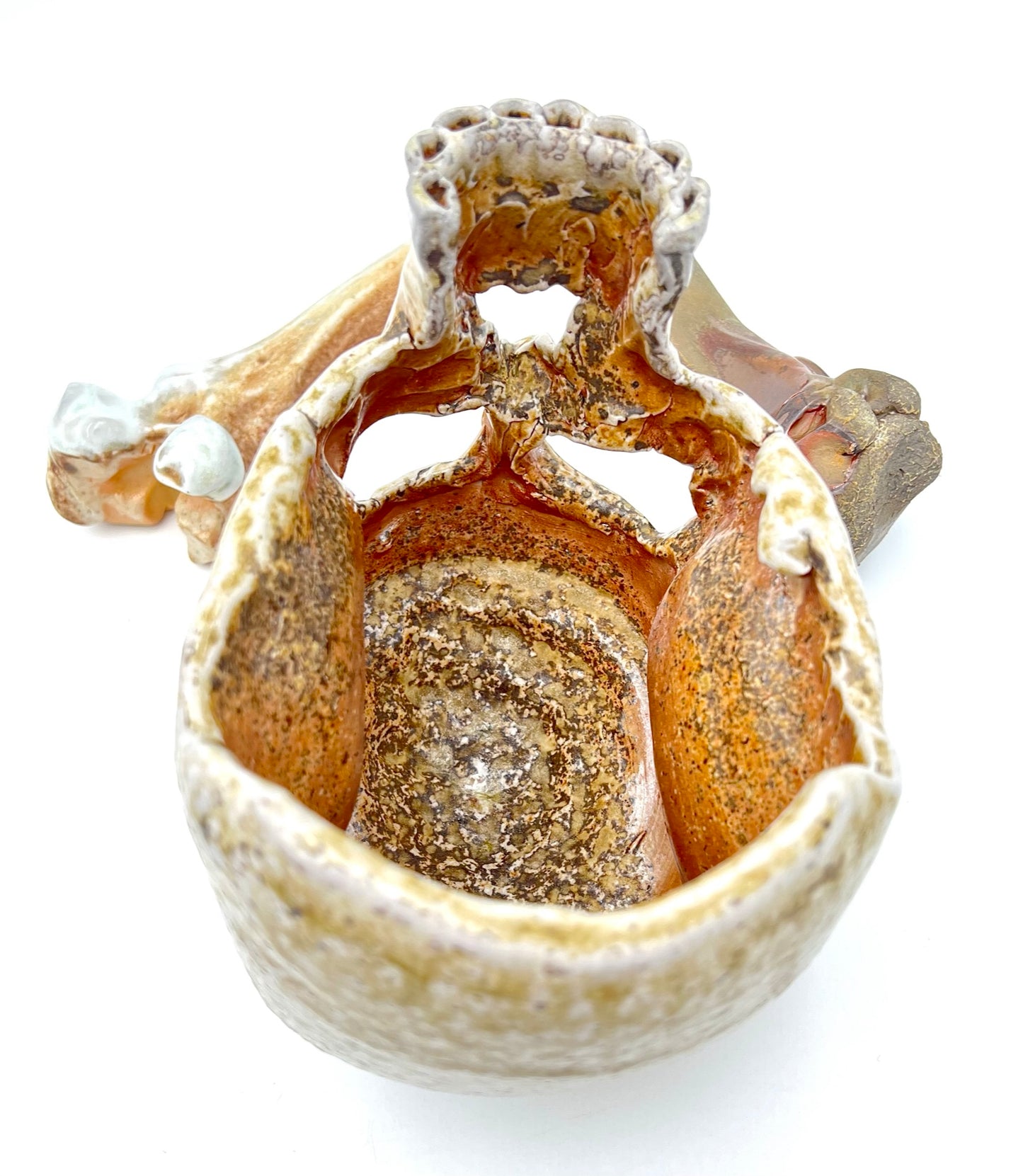 Skull & Two 1/2 Bones