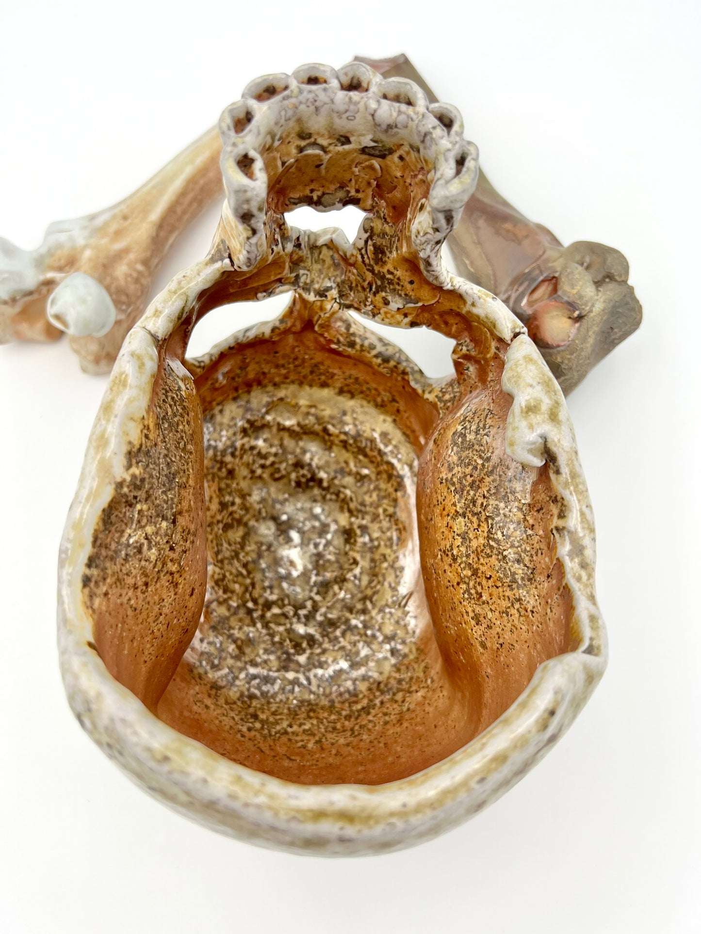 Skull & Two 1/2 Bones